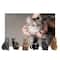 Mini Cat Stickers by Recollections™